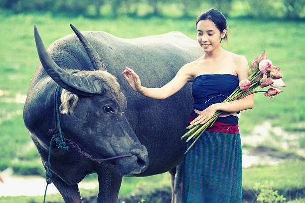 istock thai ancient young women with buffalo on rural 495142584