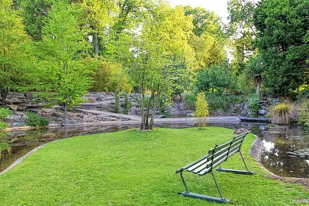 Photo of bench in the park.