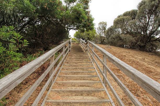 istock Outdoor wooden stairway 495144140