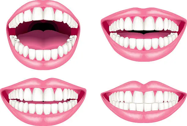 Vector illustration of White teeth and lips