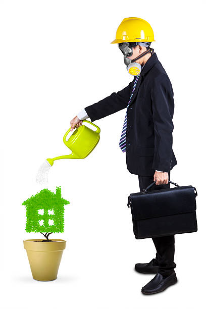 Businessman watering plant isolated 1