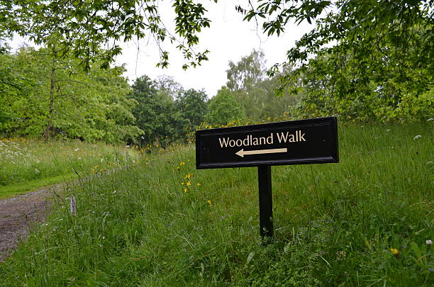 istock woodland walk sign. 495145515