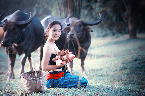 istock thai ancient young women with buffalo on rural 495146042