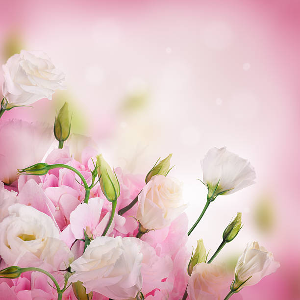 istock Bouquet of pink roses 495146157