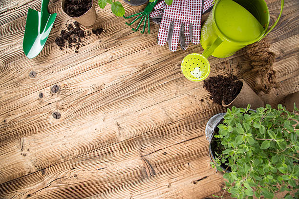 istock Outdoor gardening tools and herbs 495149225