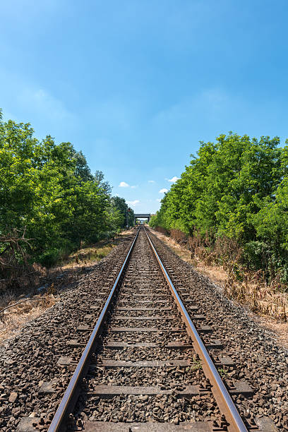 istock Railway tracks near Tromello (Italy) 495150643