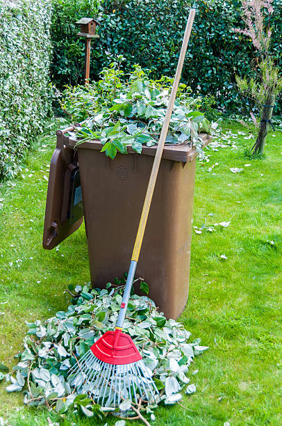 istock Piles of Leaves 495152007