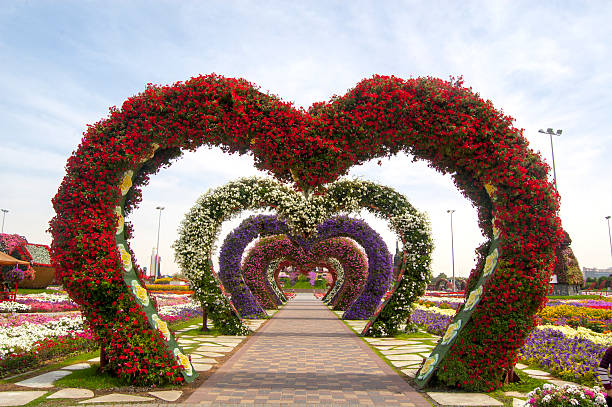 istock Miracle Garden, Dubai, United Arab Emirate, stock image 495170262