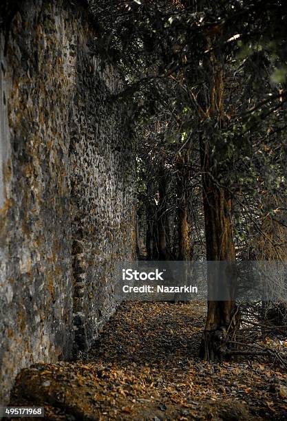 Mysterious Meaux Stock Photo - Download Image Now - 2015, Autumn, France