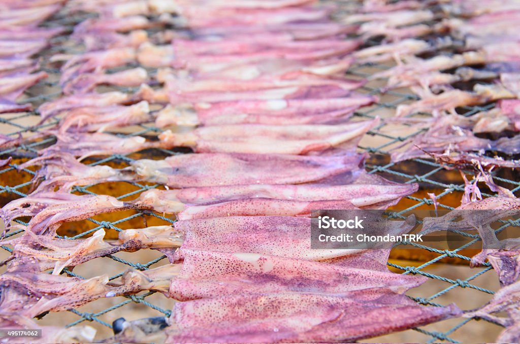 Group of Fresh squid dried preserve food by sun light 2015 Stock Photo