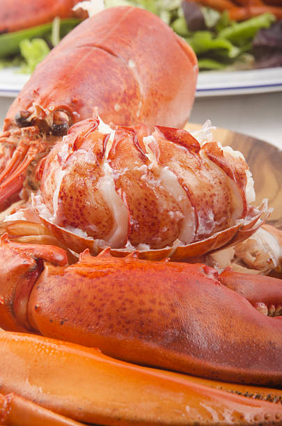 istock lobster meat and shell with salad 495176232