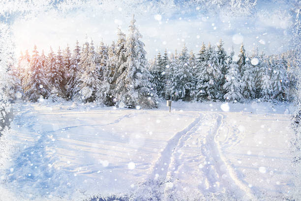 bela color de alta resolução, com uma ilustração do tema de férias de inverno - vibrant color forest ice snow - fotografias e filmes do acervo
