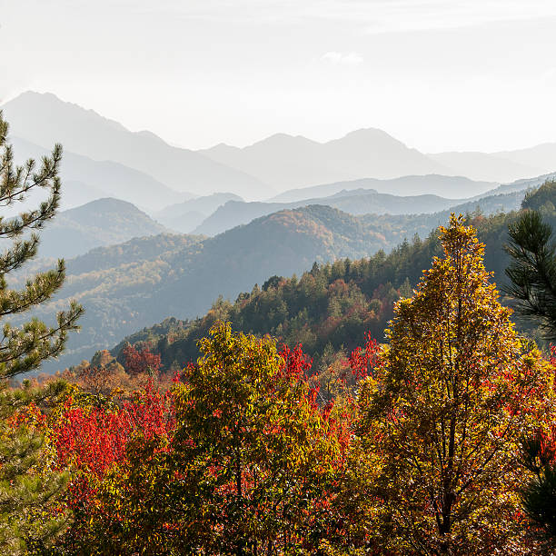 istock Corsica in autumn 495177432