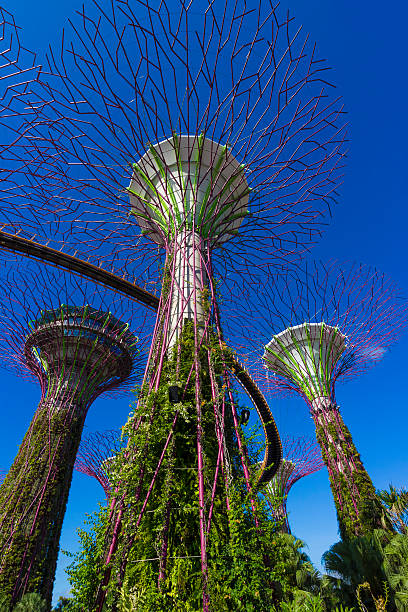 Singapore, Singapore - May 28, 2014: Sunny day at Gardens by the bay