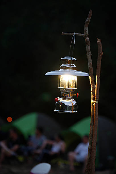 istock Gas lamp in night forest 495188025