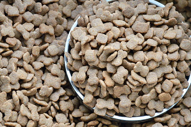 istock dog food on stainless bowl 495189190