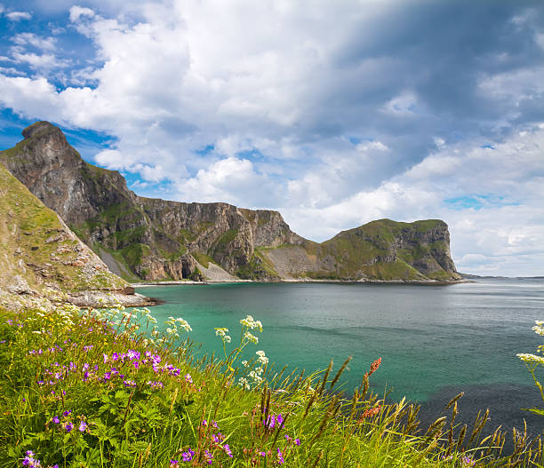 Scenic beach on Lofoten island Vaeroy in arctic Norway on sunny summer day