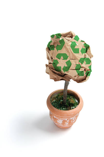 istock Pot Plant and Brown Paper Ball 495190943