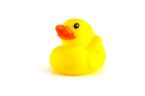 istock Yellow rubber duck isolated on White Background right side 495192209