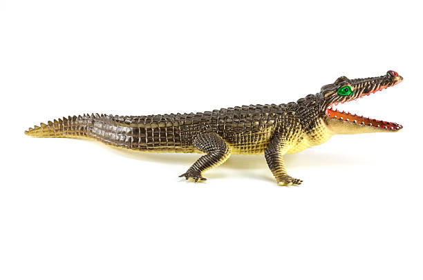 istock Brow crocodile toy isolated on white background 495192641