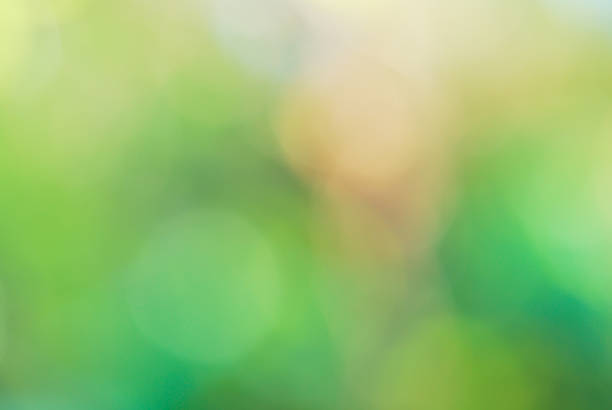 istock Abstract green blur natural background with light bokeh 495192703