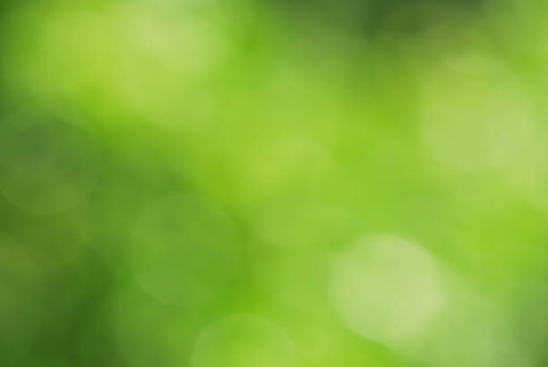 istock Abstract green blur natural background with light bokeh 495192707