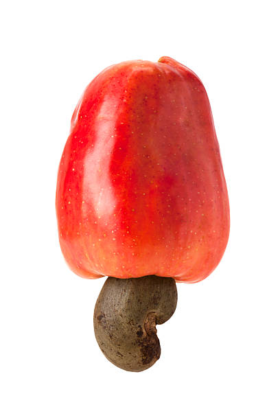 Brazilian Caju Cashew Fruit