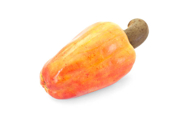 istock Brazilian Caju Cashew Fruit 495194139