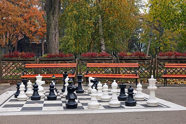 istock chess figures in park autumn season 495199114