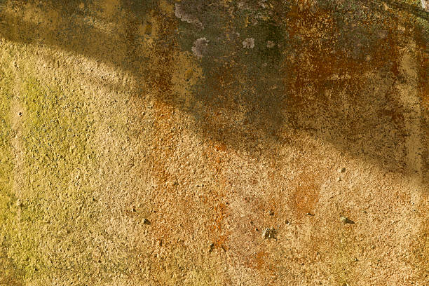 istock XXXL Grunge background with space for text or image. 495203650