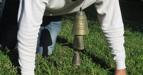 a man eats grass with a bell around his neck