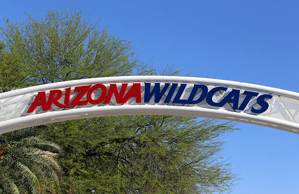 Arizona Wildcats Tucson, AZ, USA – March 16, 2014: An entrance to The University of Arizona McKale Center located in Tucson. The University of Arizona is a public research university founded in 1885. ncaa college conference team stock pictures, royalty-free photos & images