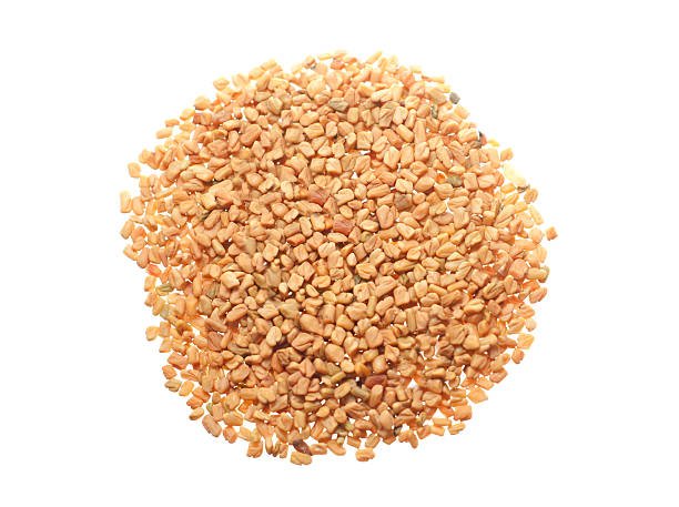 istock Fenugreek seed in white background 495208257