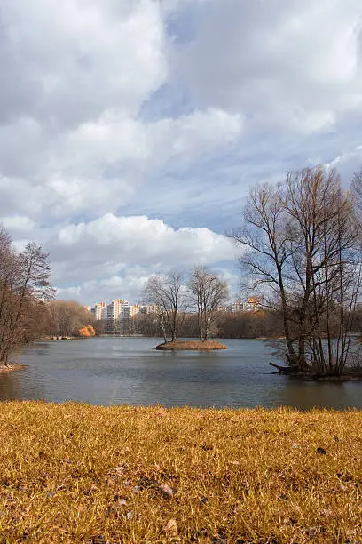 on the shore of a beautiful lake with trees