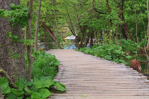 istock Wood path in the Plitvice Lake 495211939
