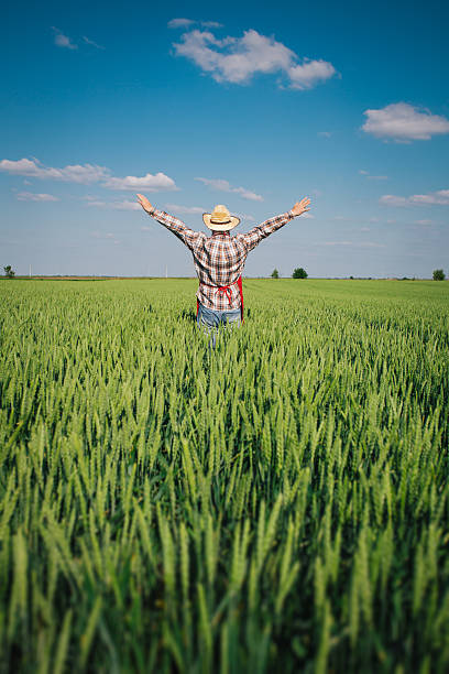istock Farmer in the Field 495212291