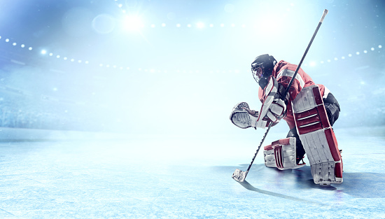 View of professional ice hockey goalie during game in indoor arena full of spectators