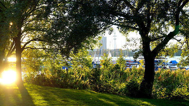 sunlit park at alster lake