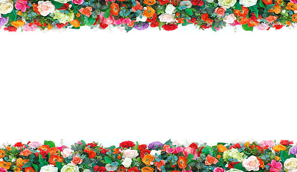 istock Stock Photo:flowers frame in white background isolated 495215062