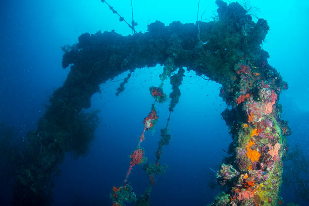 istock Japanese wreck - Palau, Micronesia 495215116