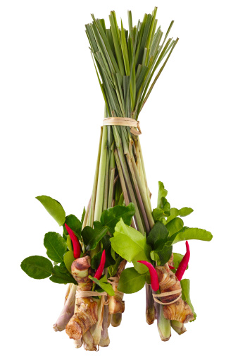 Thai Tom Yam soup herbs and spices, consisting of lemongrass, Kaffir Lime leaves, Galangal and Red Chili, isolated on white.