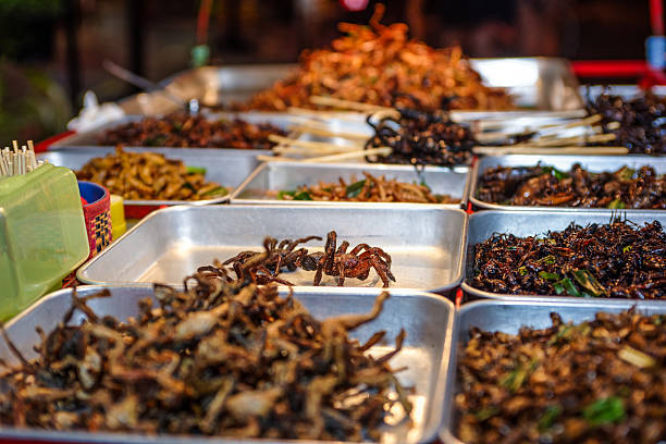 istock Bangkok insect food stall 495216710