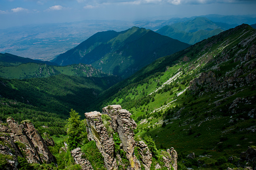 Jungle mountain