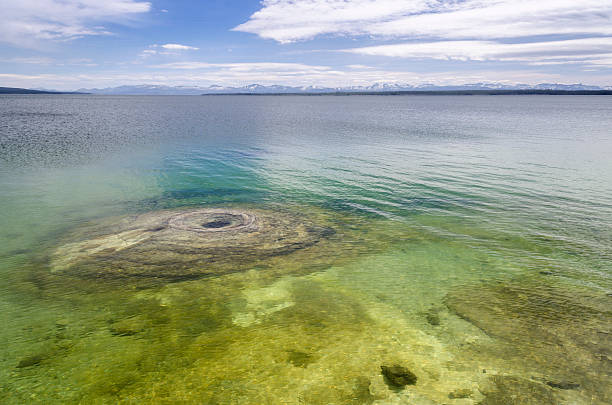 istock geysers in Yellowstone 495219046