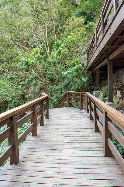 istock Wooden walkway to the mountain 495224492