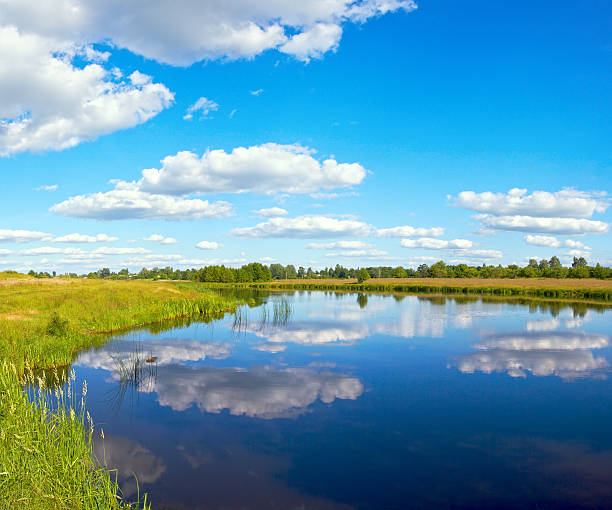 lato rushy lake - cumulus cloud lake water forest zdjęcia i obrazy z banku zdjęć