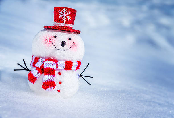 istock Cute little snowman 495225046