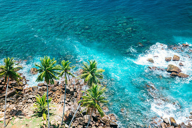 Indian ocean. View from the Dondra Lighthouse, Sri Lanka. Turquoise ocean, coconut trees and rocks in the centre of composition. Clear blue sky with few low clouds on the background. Shot with Canon 5D mk III
