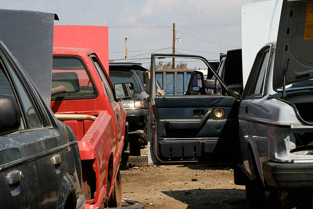 istock Auto Junk and Salvage Yard 495226512