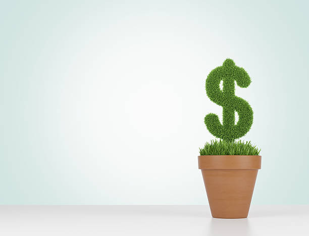 istock flowerpot with grass green dollar sign on the table 495228260